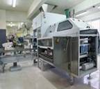 亚洲熟妇无码乱子AV电影